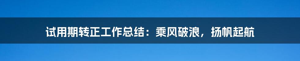 试用期转正工作总结：乘风破浪，扬帆起航