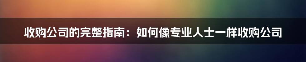 收购公司的完整指南：如何像专业人士一样收购公司