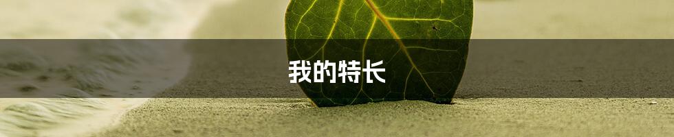 我的特长