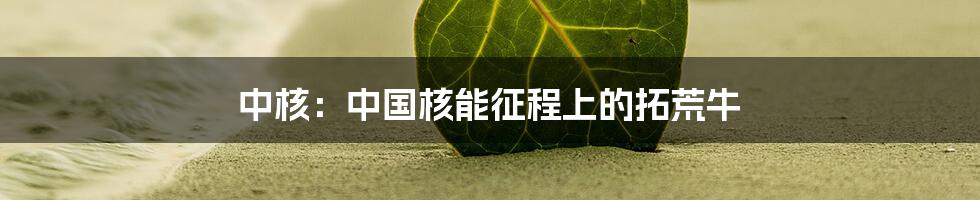 中核：中国核能征程上的拓荒牛