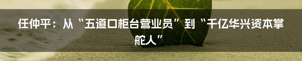 任仲平：从“五道口柜台营业员”到“千亿华兴资本掌舵人”