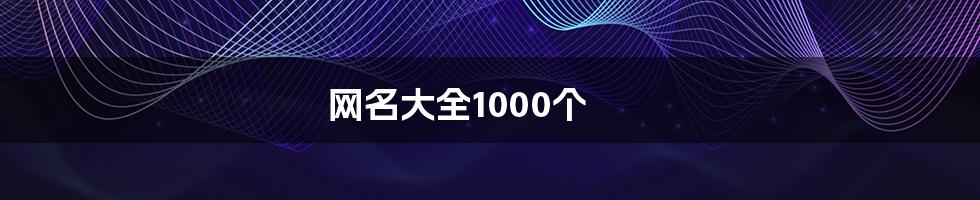 网名大全1000个