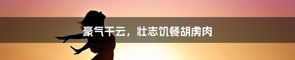 豪气干云，壮志饥餐胡虏肉