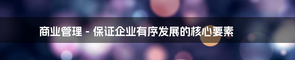 商业管理 - 保证企业有序发展的核心要素