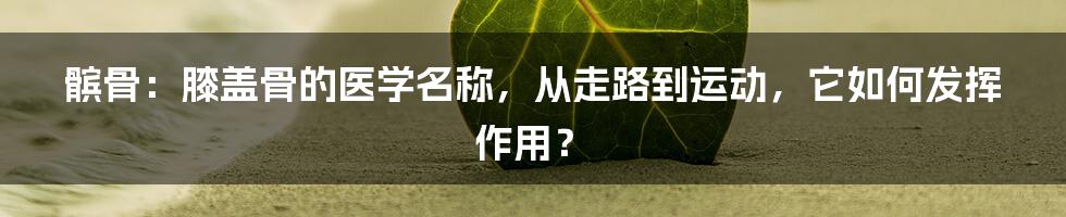 髌骨：膝盖骨的医学名称，从走路到运动，它如何发挥作用？