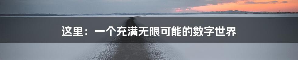 这里：一个充满无限可能的数字世界