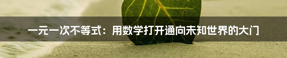 一元一次不等式：用数学打开通向未知世界的大门