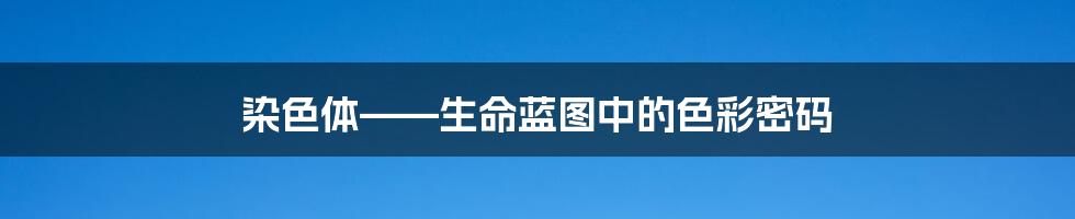 染色体——生命蓝图中的色彩密码