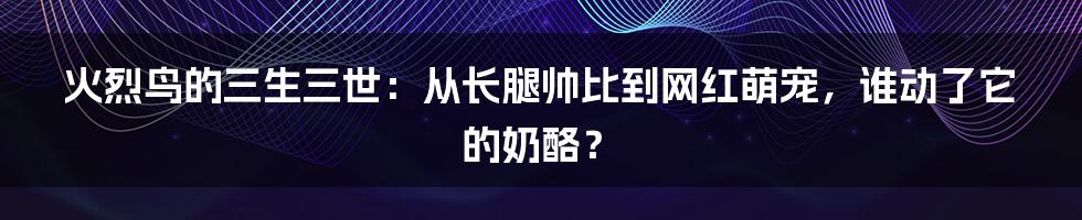 火烈鸟的三生三世：从长腿帅比到网红萌宠，谁动了它的奶酪？