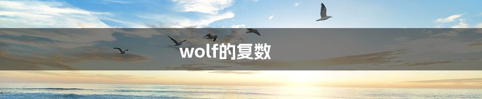 wolf的复数