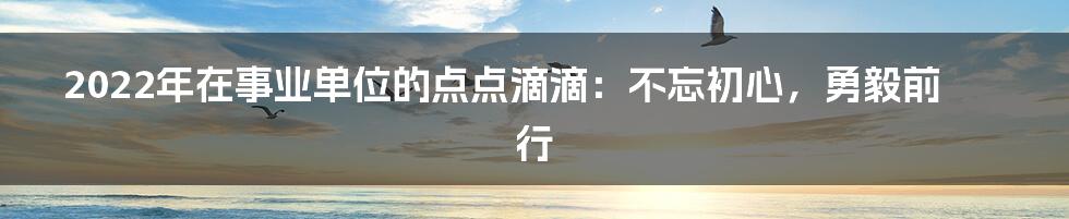 2022年在事业单位的点点滴滴：不忘初心，勇毅前行