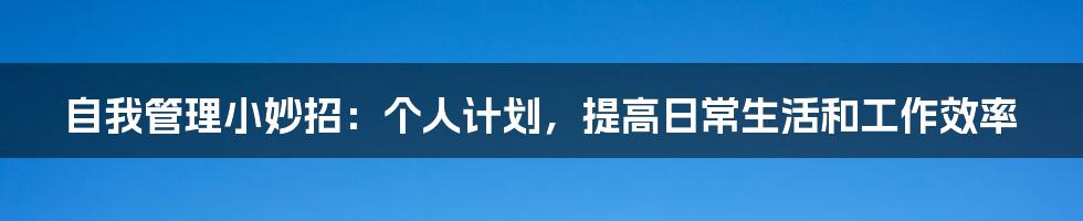 自我管理小妙招：个人计划，提高日常生活和工作效率