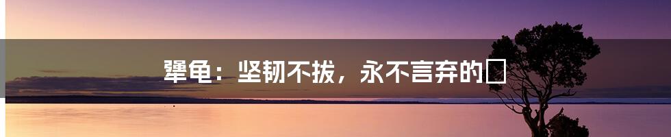 犟龟：坚韧不拔，永不言弃的🐢