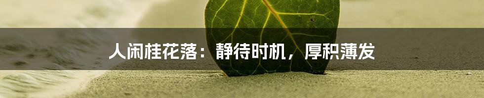 人闲桂花落：静待时机，厚积薄发