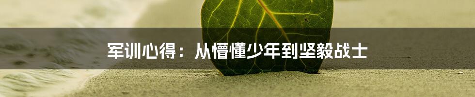 军训心得：从懵懂少年到坚毅战士