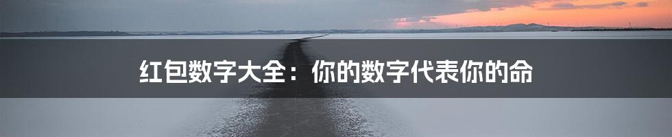 红包数字大全：你的数字代表你的命