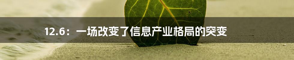 12.6：一场改变了信息产业格局的突变