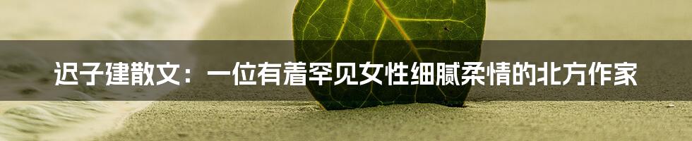 迟子建散文：一位有着罕见女性细腻柔情的北方作家