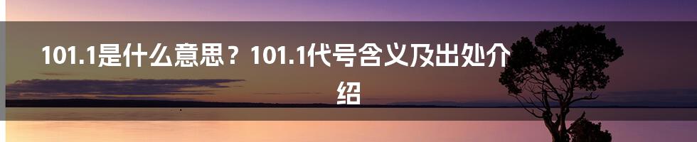 101.1是什么意思？101.1代号含义及出处介绍