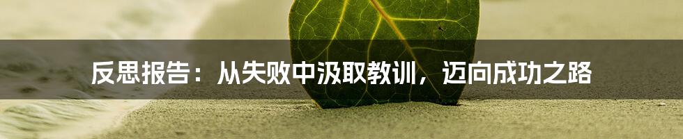 反思报告：从失败中汲取教训，迈向成功之路