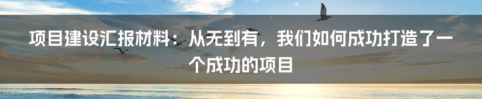 项目建设汇报材料：从无到有，我们如何成功打造了一个成功的项目