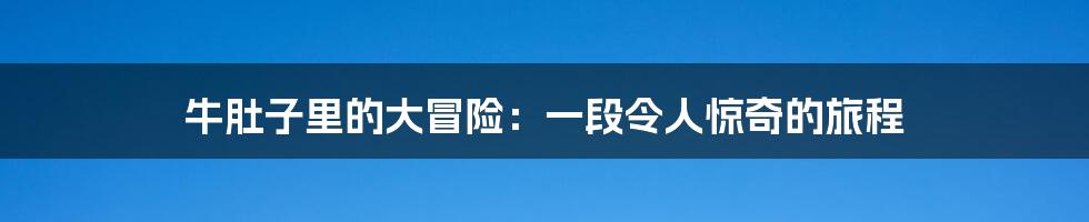 牛肚子里的大冒险：一段令人惊奇的旅程