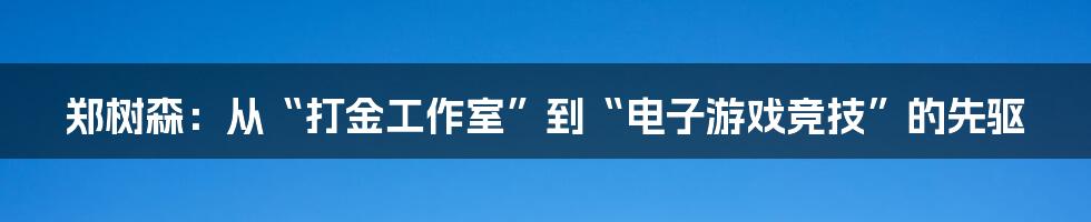 郑树森：从“打金工作室”到“电子游戏竞技”的先驱