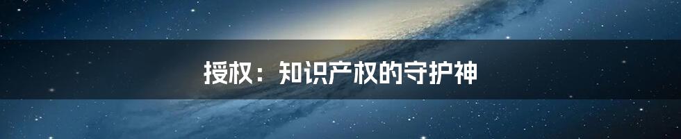 授权：知识产权的守护神