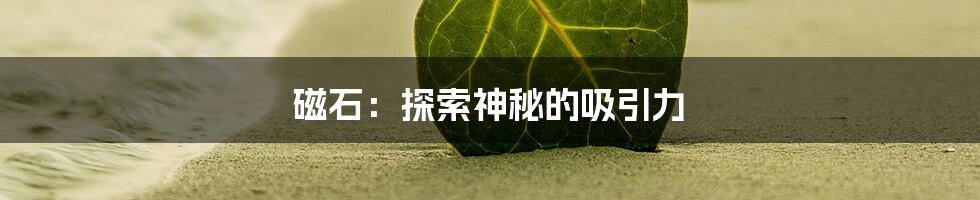 磁石：探索神秘的吸引力