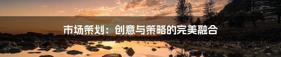 市场策划：创意与策略的完美融合