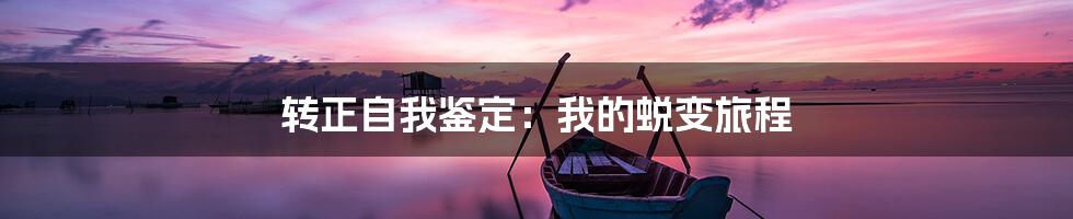 转正自我鉴定：我的蜕变旅程