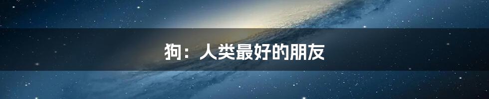 狗：人类最好的朋友