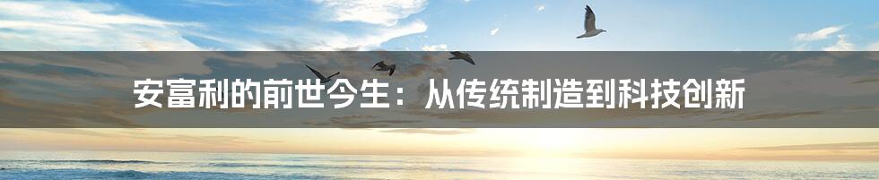 安富利的前世今生：从传统制造到科技创新