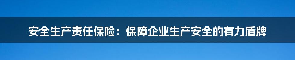 安全生产责任保险：保障企业生产安全的有力盾牌