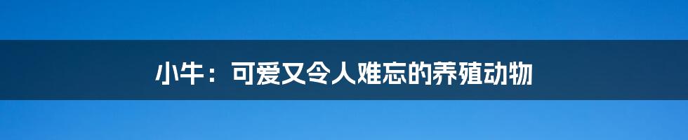 小牛：可爱又令人难忘的养殖动物