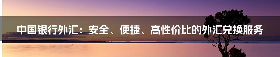 中国银行外汇：安全、便捷、高性价比的外汇兑换服务