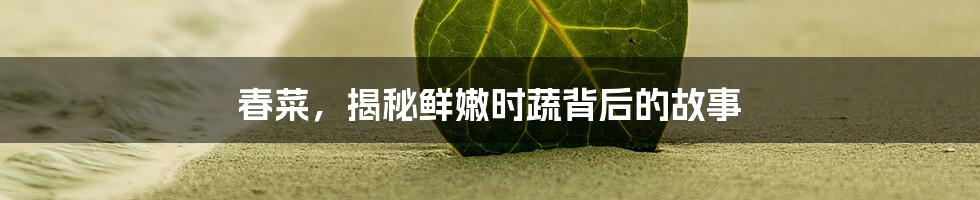 春菜，揭秘鲜嫩时蔬背后的故事