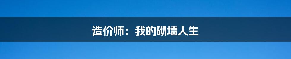 造价师：我的砌墙人生