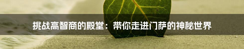 挑战高智商的殿堂：带你走进门萨的神秘世界