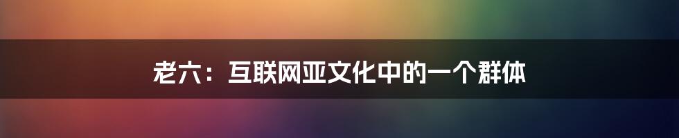 老六：互联网亚文化中的一个群体