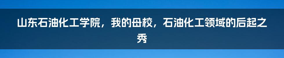 山东石油化工学院，我的母校，石油化工领域的后起之秀