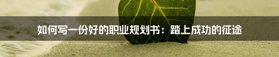 如何写一份好的职业规划书：踏上成功的征途