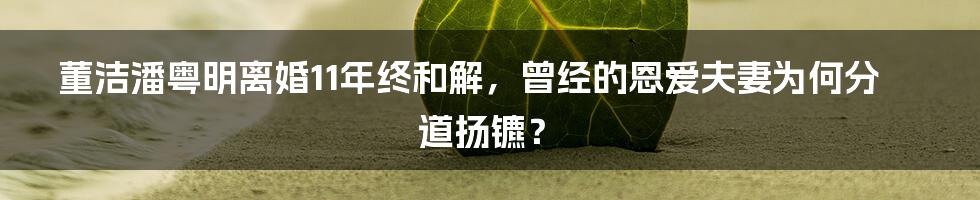 董洁潘粤明离婚11年终和解，曾经的恩爱夫妻为何分道扬镳？