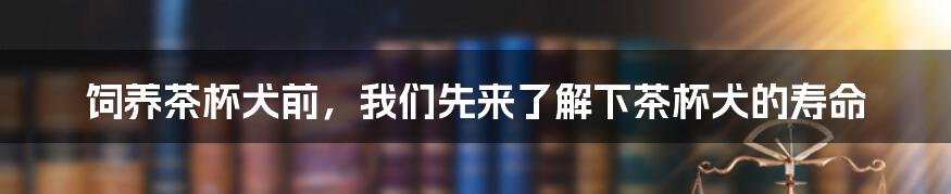 饲养茶杯犬前，我们先来了解下茶杯犬的寿命