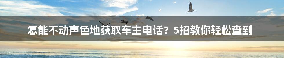 怎能不动声色地获取车主电话？5招教你轻松查到