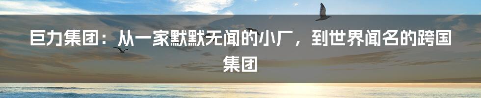 巨力集团：从一家默默无闻的小厂，到世界闻名的跨国集团