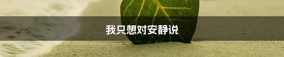 我只想对安静说