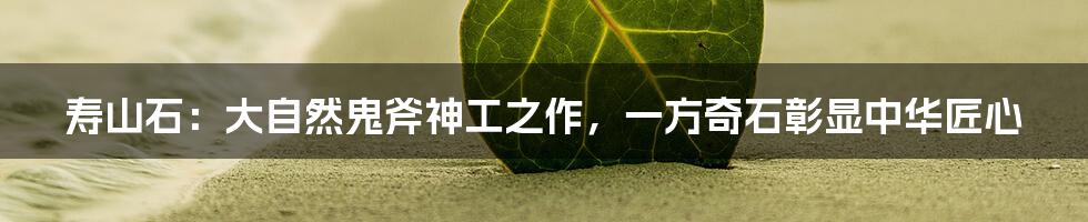 寿山石：大自然鬼斧神工之作，一方奇石彰显中华匠心