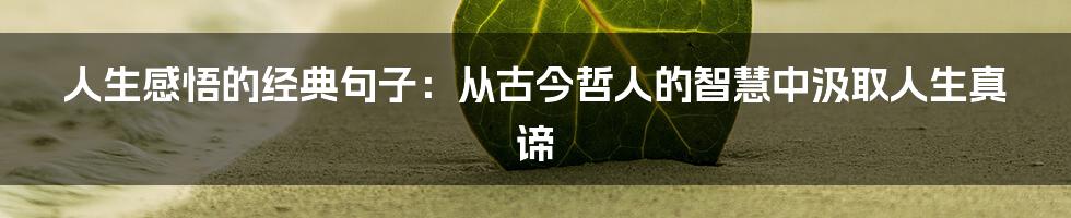 人生感悟的经典句子：从古今哲人的智慧中汲取人生真谛