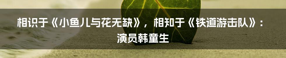 相识于《小鱼儿与花无缺》，相知于《铁道游击队》：演员韩童生